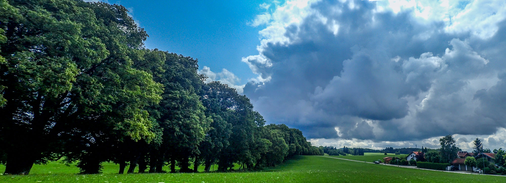 Allee Marktoberdorf Sommer